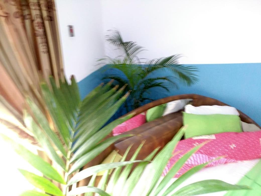 Elizz Guest House Janman Экстерьер фото